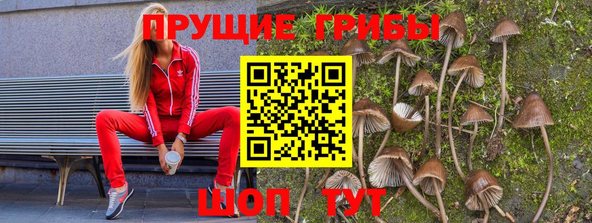 наркотики  Псилоцибиновые грибы Cubensis  Вход с VPN  Тольятти 